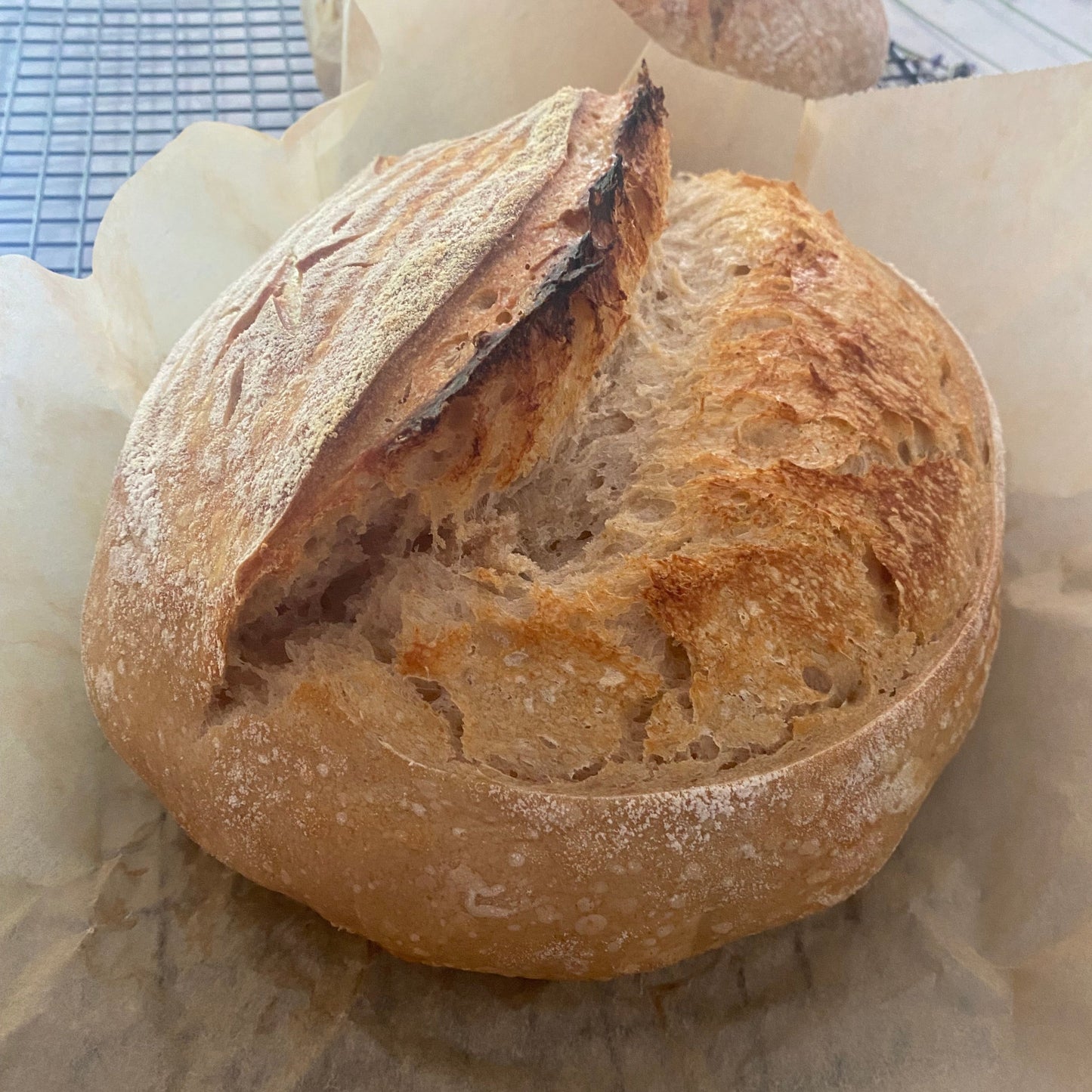 Sourdough Workshop