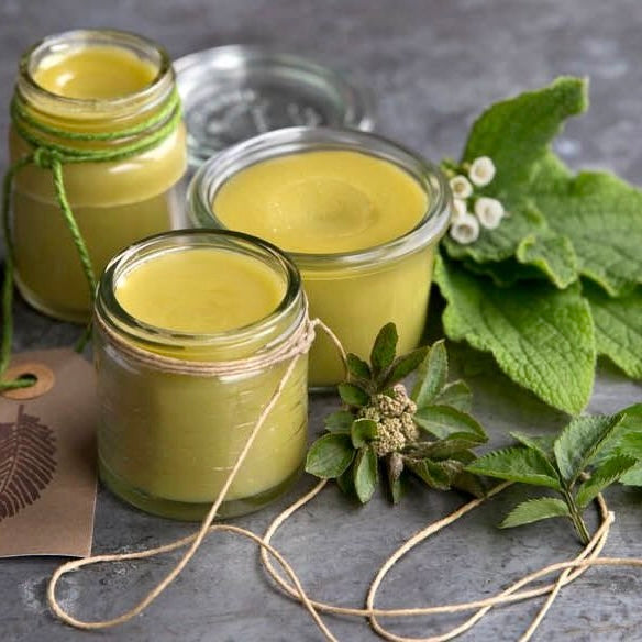 Herbal Balms and Salves Workshop