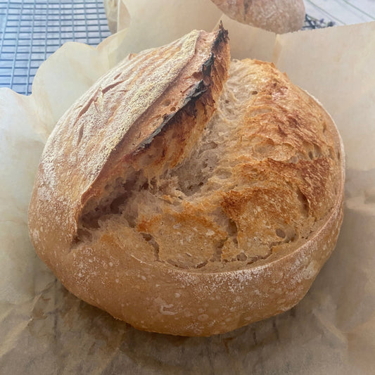 Sourdough Workshop | November 10th | w/ Britney