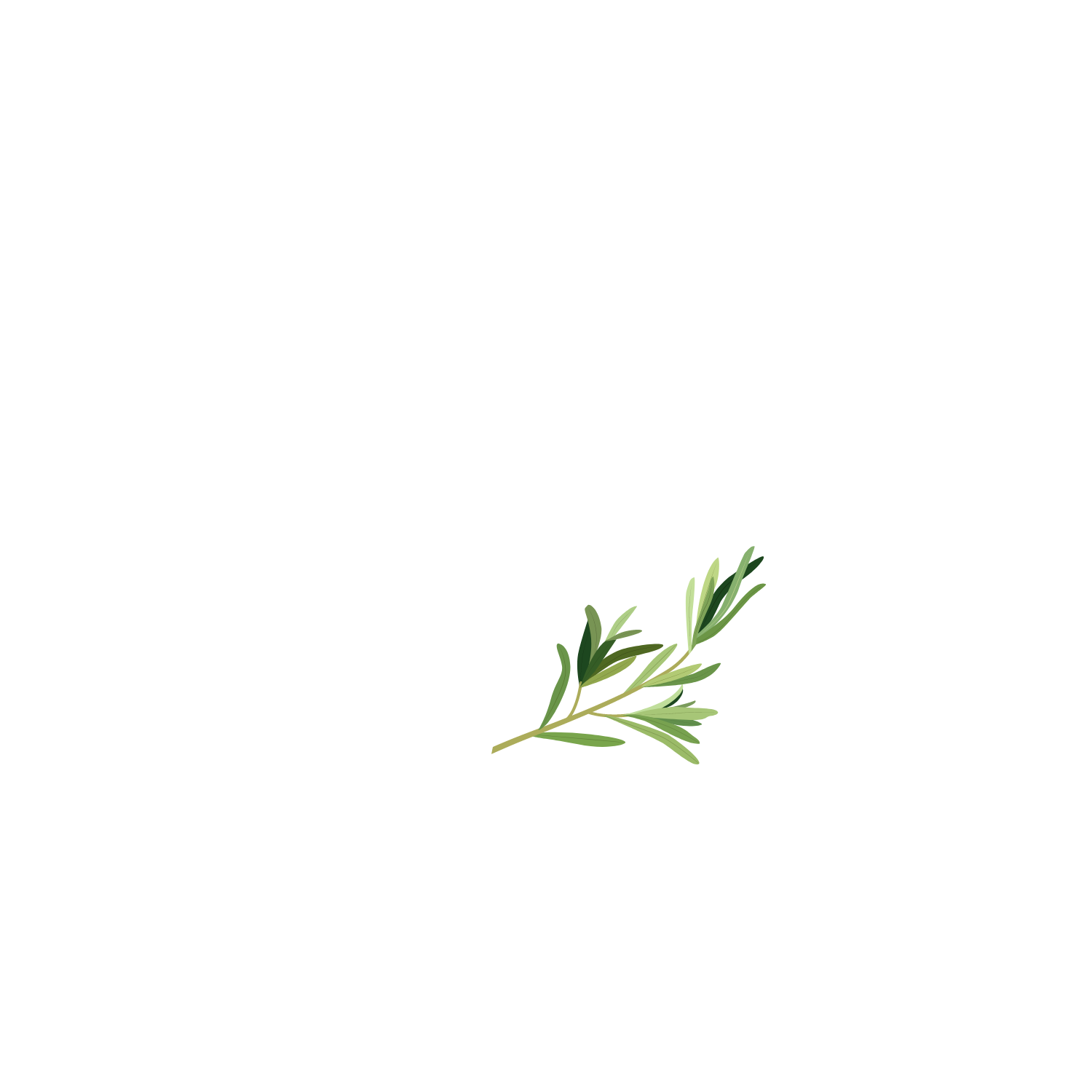 Thyme, lemon, & eucalyptus herbal tea: thyme lemon APRÈS-SKI